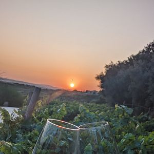 Degustação de vinhos excepcional 