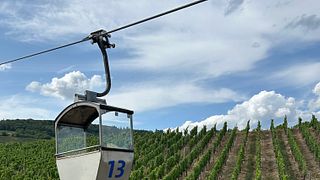 Rüdesheim: Die besondere Wein Tour