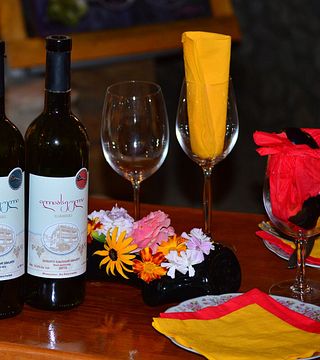Degustazione di vini e tour popolari presso la cantina della famiglia Iliaseuli