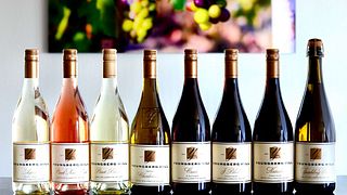 Cata de vinos premium y visita guiada en Youngberg Hill