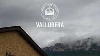 Tempranillo-Verkostung bei Bodegas Vallobera