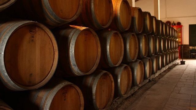 Cata de vinos en Bodegas Rivero
