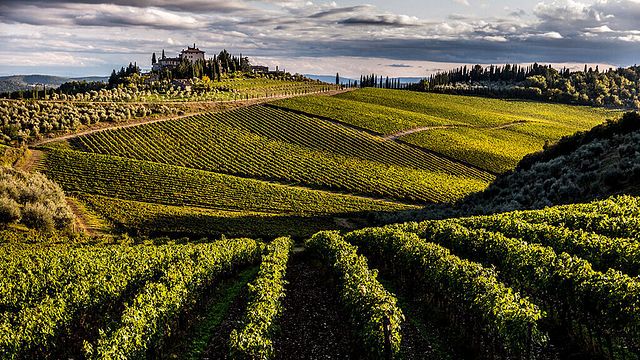 Frescobaldi Winery