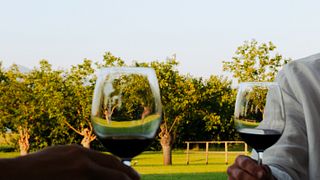 Vigne del Malina: A Taste of Friuli-Venezia Giulia