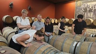 WSET Niveau 1 en vins