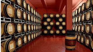 Wine tasting and tour at Tenute San Fabiano - Conti Borghini Baldovinetti De' Bacci