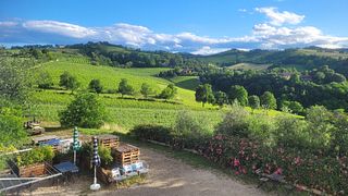 Manaresi Winery
