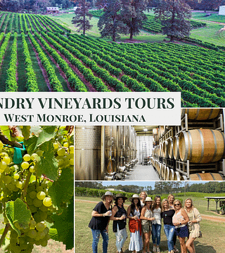 Dégustation de vins aux vignobles Landry