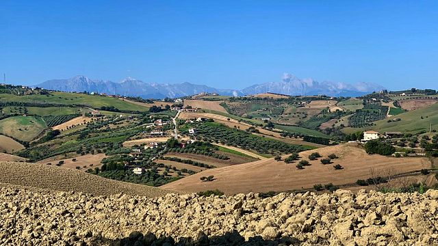 Cantina Mazzarosa: A Legacy of Sustainable Winemaking