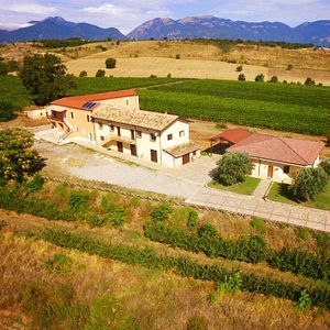 Cata y visita de vinos y aceites Evo en Tenute Pacelli