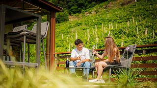Dégustation de vins en édition limitée