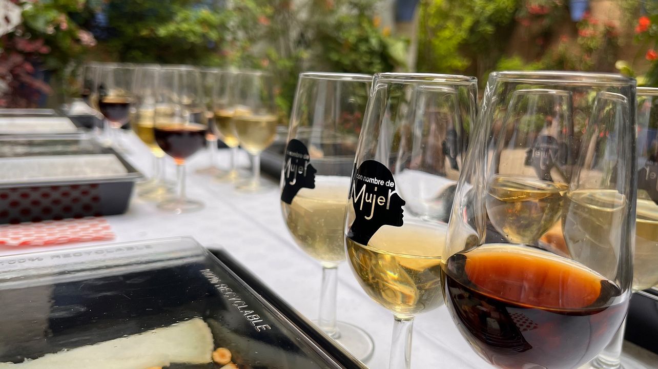 Dégustation de vins et de fromages locaux de Cordoue au cœur de la ville de Cordoue
