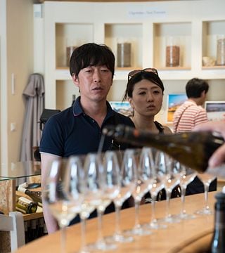 Bandol & Cassis wine tour from Marseille