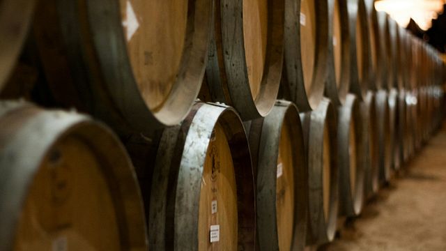 Tirana: Weinprobe und Weinberg-Ausflug in kleiner Gruppe