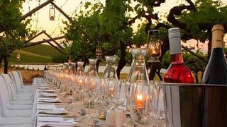 Cena nei vigneti del Chianti da Siena