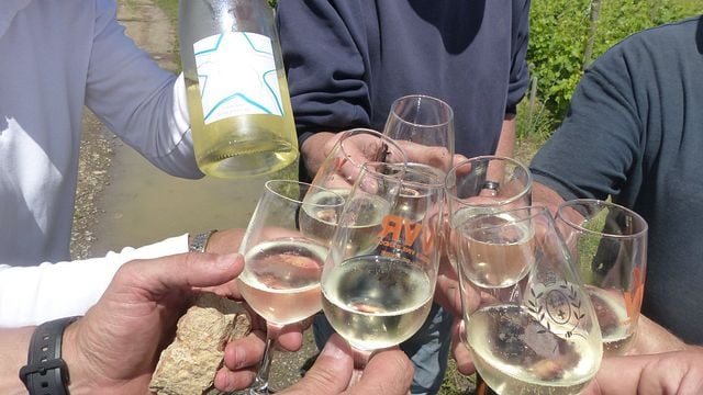 Wine Tasting and Tour at Domäne Vincendeau