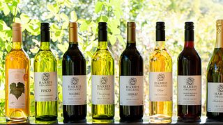 Harris Organic Wine and Spirits