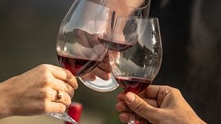 Visit and Tasting in the Vineyards