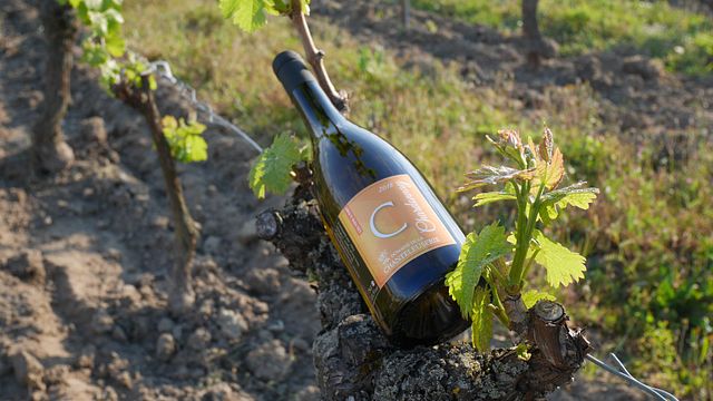 Domaine De La Chanteleuserie