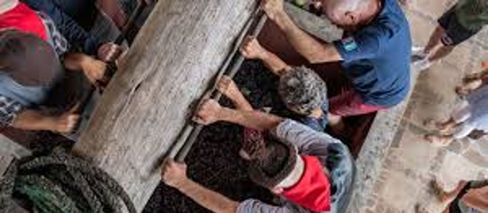 Images - 2026-05-29T165838.612