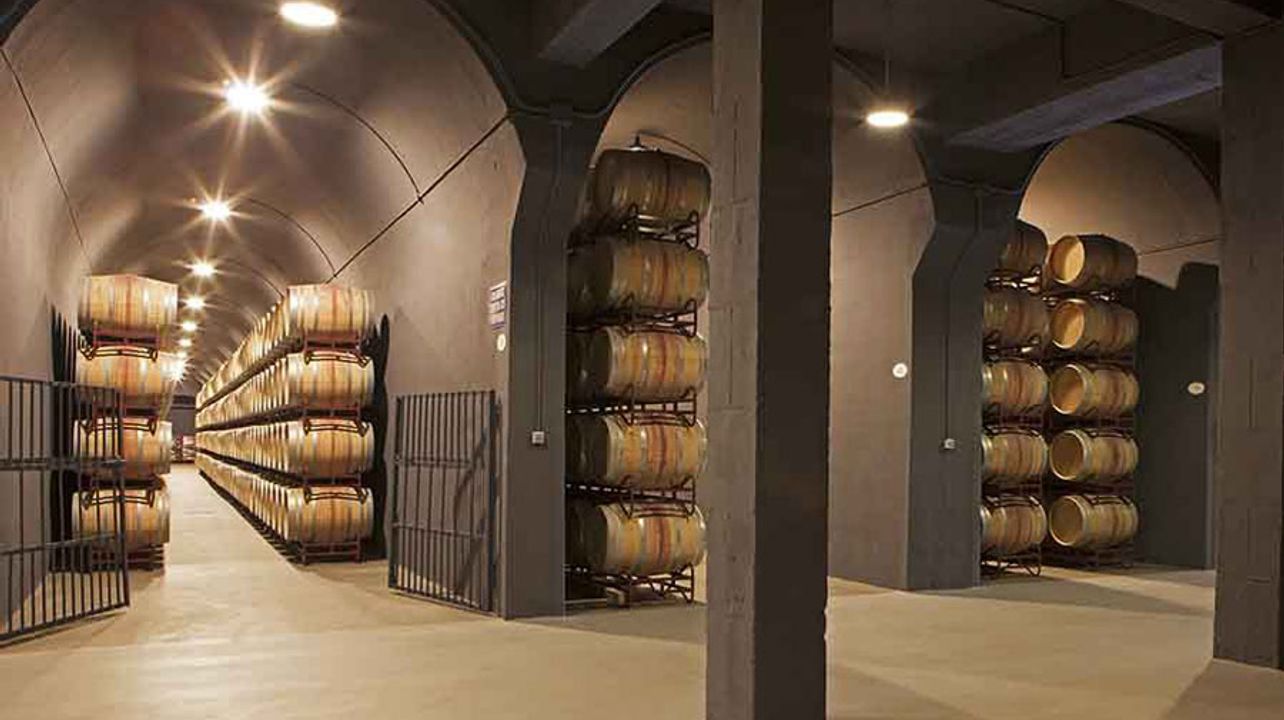 Bodegas Palacio: A Legacy of Rioja Winemaking