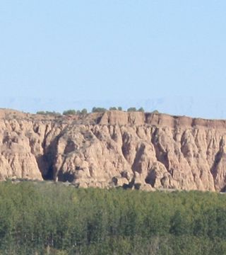 Degustação de vinhos e tour nas Bodegas Al Zagal
