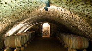 Château des Ravatys: A Historic Winery in Beaujolais