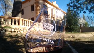 Tour dei vigneti, tour della cantina e degustazione di vini con snack locali a Vera de Estenas