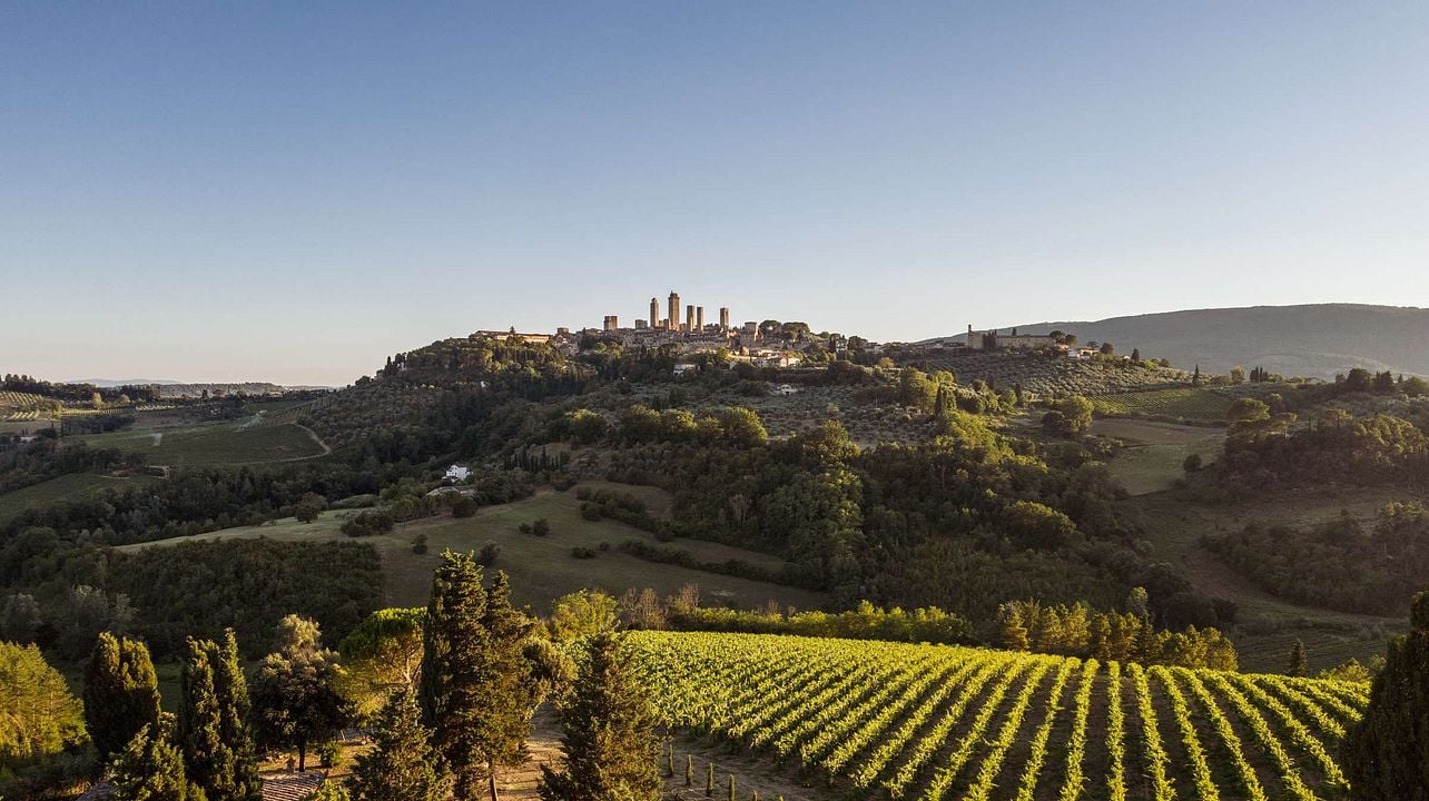 Degustazione e tour di vini a Pietraserena