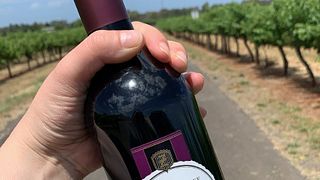 Dégustation de vins et visite du domaine Zema