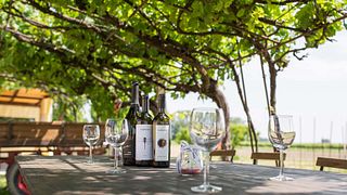Weinprobe und entspannender Spaziergang im Weinberg des Weinguts Annafrancesca - Premium-Erlebnis