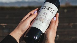 Dégustation de vins et visite de la Bodega Foster Lorca