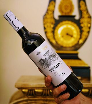 Degustazione di vini e tour al Mont Reaga