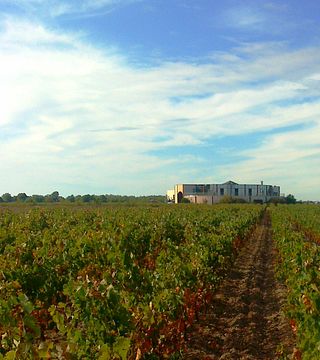 SCV Du Château Segue Longue Monnier