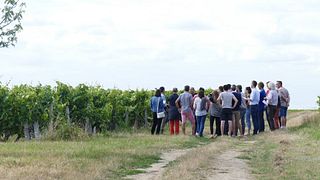 Domaine de la Gauterie