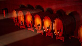 Wine Tasting & Tour in Alto Piemonte at La Piemontina