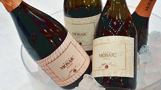 Dégustation de vins et visite de la cave Carolina Jakoncic