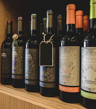 Prova e Tour de Vinhos Premium na Filipe Palhoça Vinhos