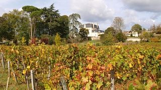 Dégustation et visite de vins au Château Beauséjour