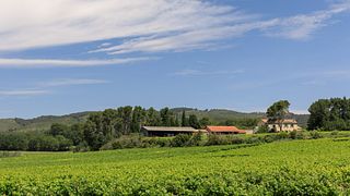 Domaine Des Oullieres