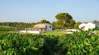 Degustação de vinhos na Bodega Finca Cor Vi