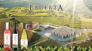 Prima impressione: tour della cantina e degustazione di vini presso l'azienda vinicola Lacerta