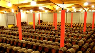 Visita guidata e degustazione di vini alle Bodegas Malaga Virgen, abbinate a delizie locali