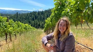 Phelps Creek Vineyards