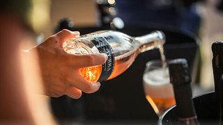 Cata de vinos y visita guiada en Turra Franciacorta