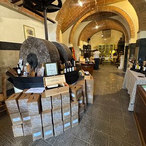 História e vinho