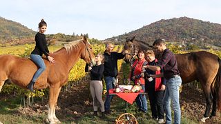 Simkó Pince Winery