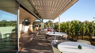 Wine Resort Accommodation at Tenuta Di Castellaro