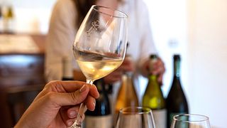 Villa Bogdano 1880: History, Nature & Organic Wine Tasting