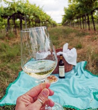 Emilia-Romagna Vineyard Picnic & Wine Delight